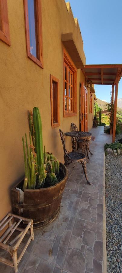 Casa Jardin De Hadas Con Vista Panoramica Pisco Elqui Exteriör bild