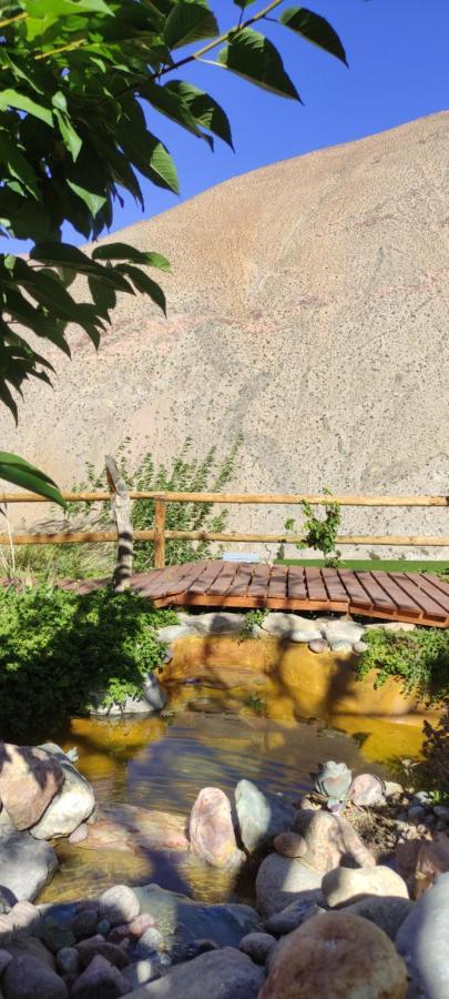 Casa Jardin De Hadas Con Vista Panoramica Pisco Elqui Exteriör bild