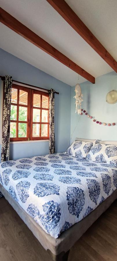 Casa Jardin De Hadas Con Vista Panoramica Pisco Elqui Exteriör bild