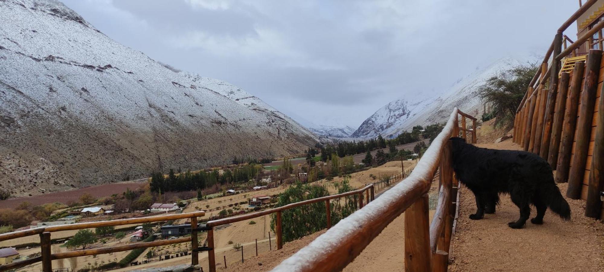 Casa Jardin De Hadas Con Vista Panoramica Pisco Elqui Exteriör bild